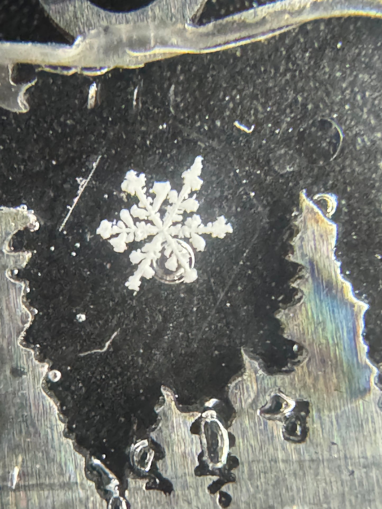 Bear Snowflake Pendant 010626-01