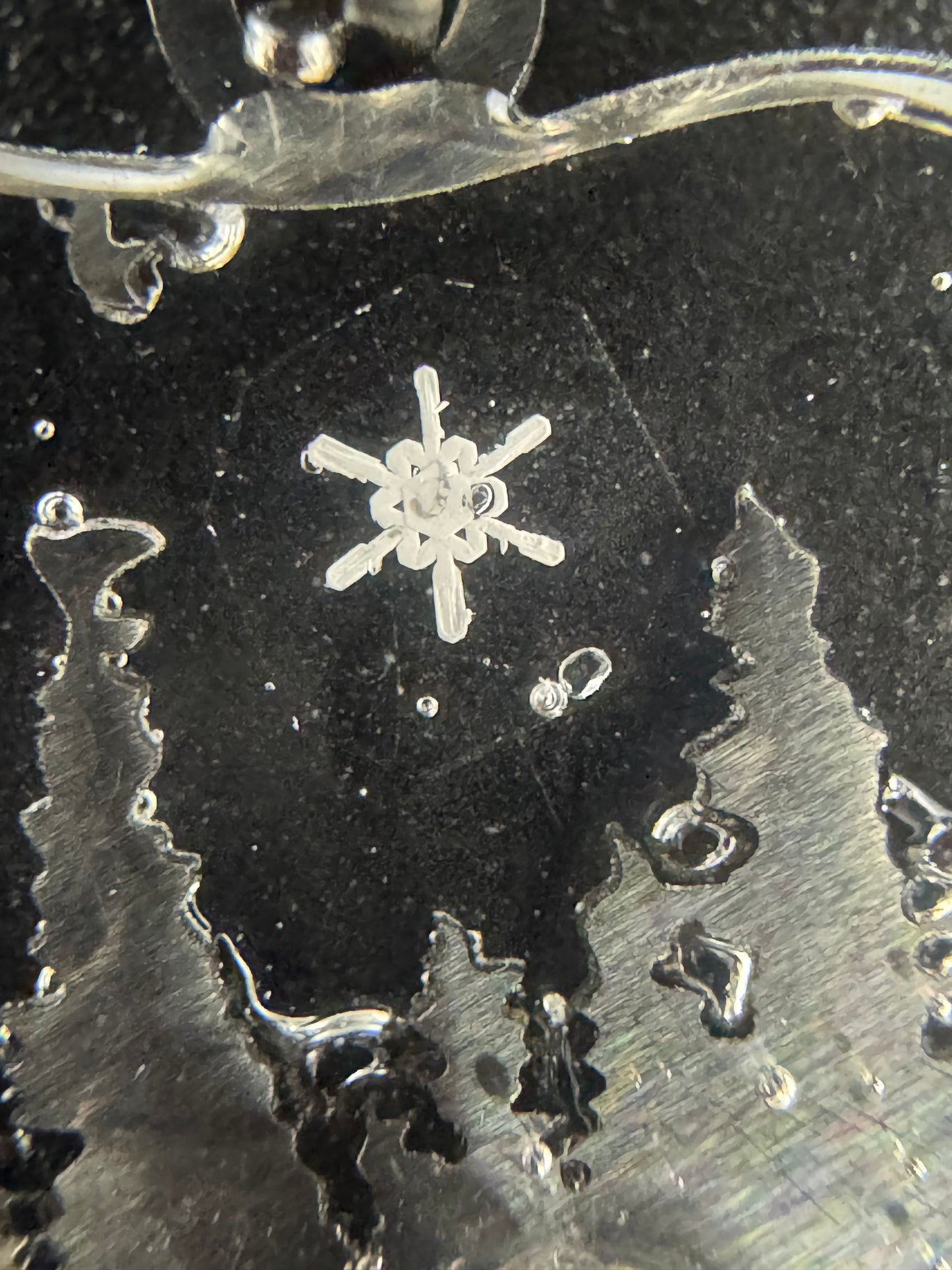 Bear Snowflake Pendant 011626-02