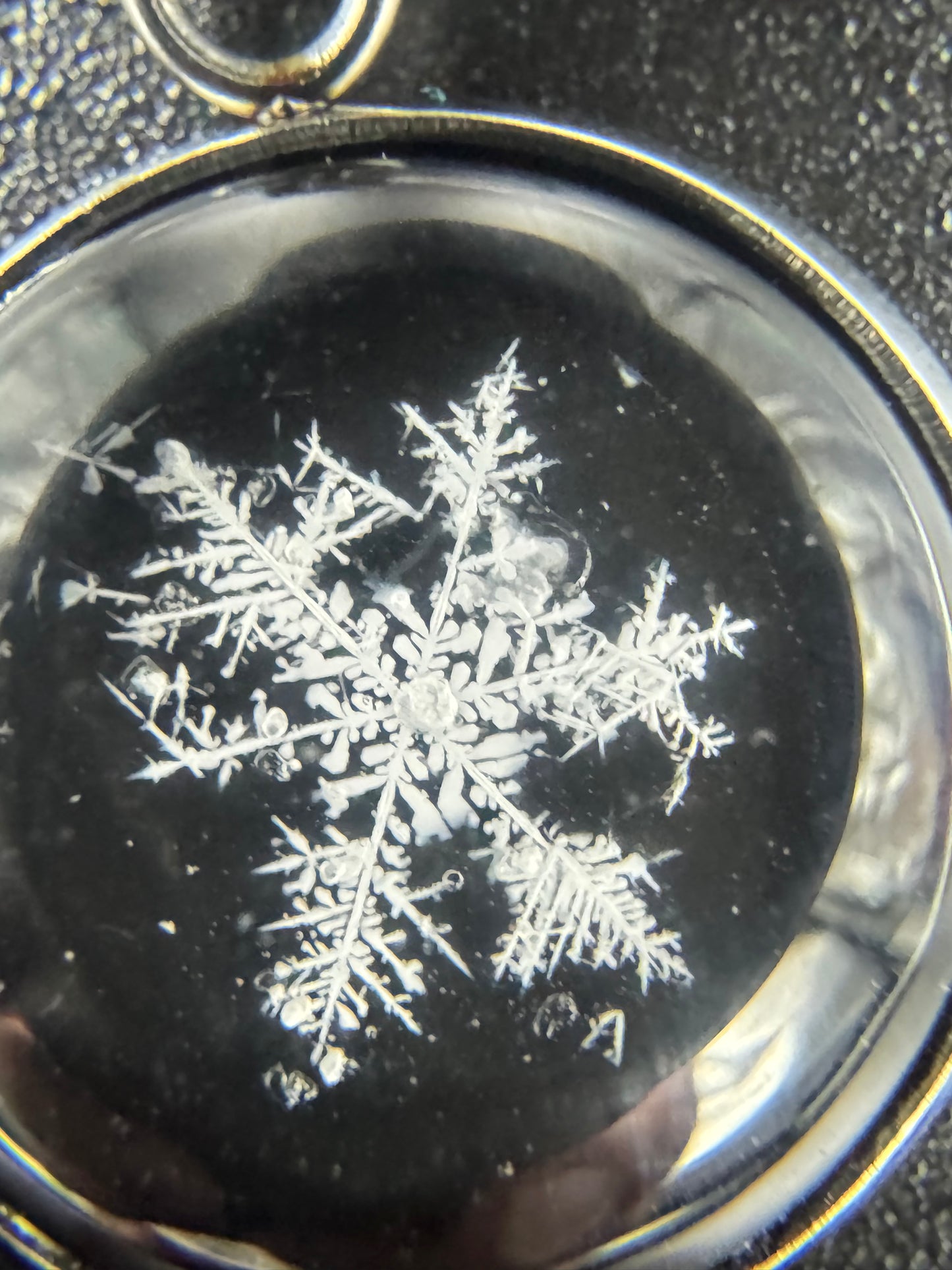 Snowflake Pendant 122625-16