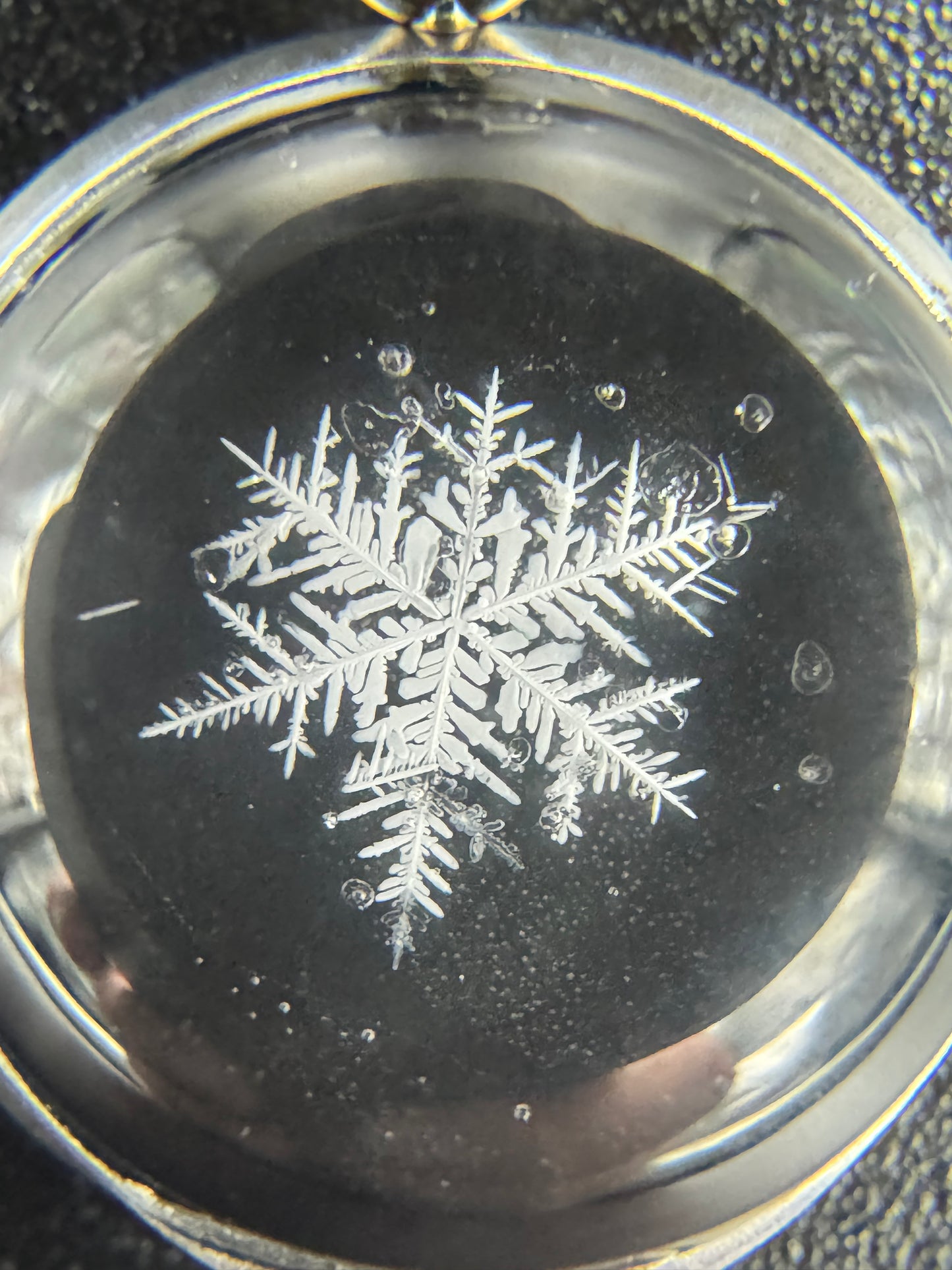 Snowflake Pendant 122725-04