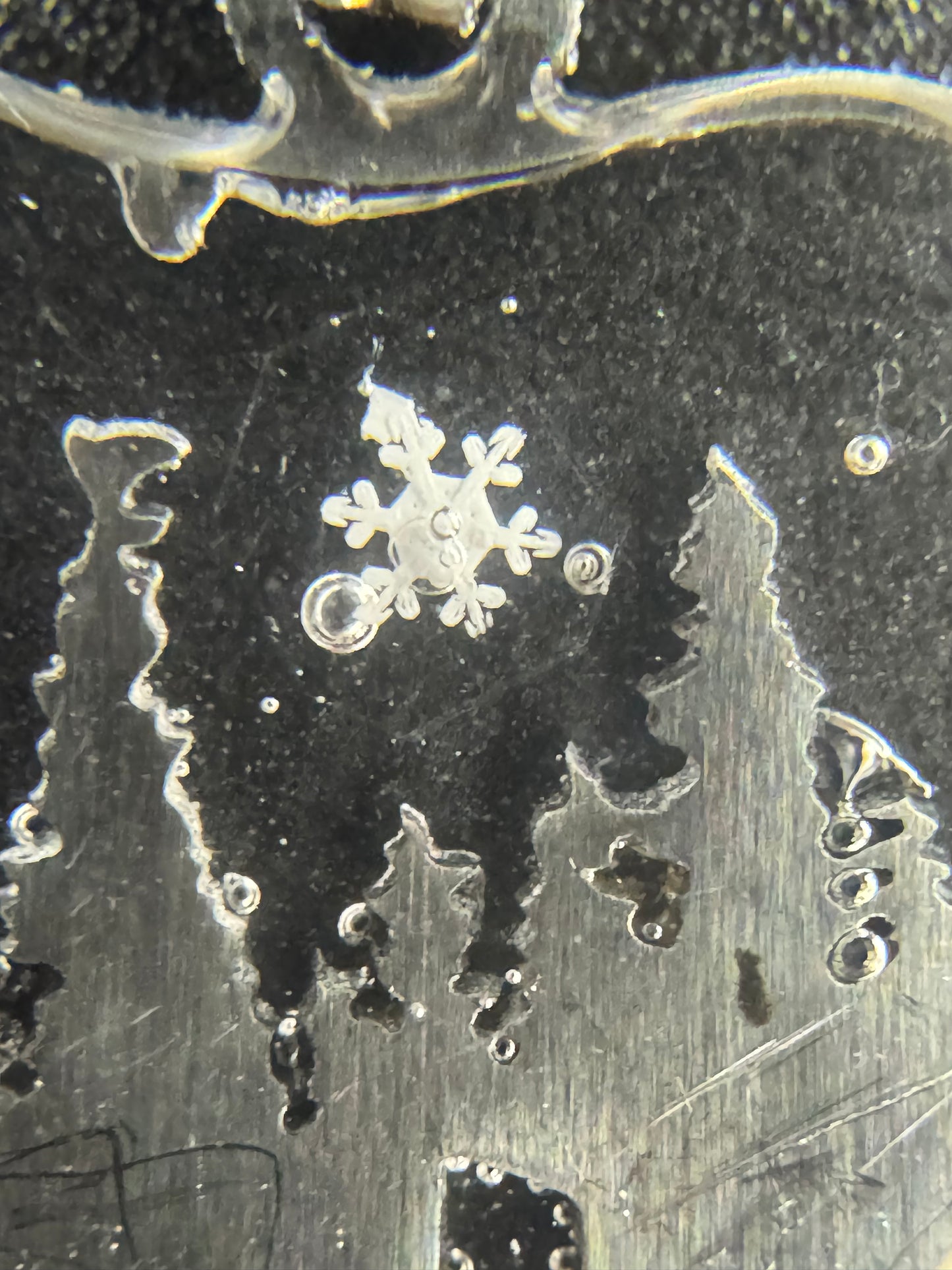 Bear Snowflake Pendant 011626-01