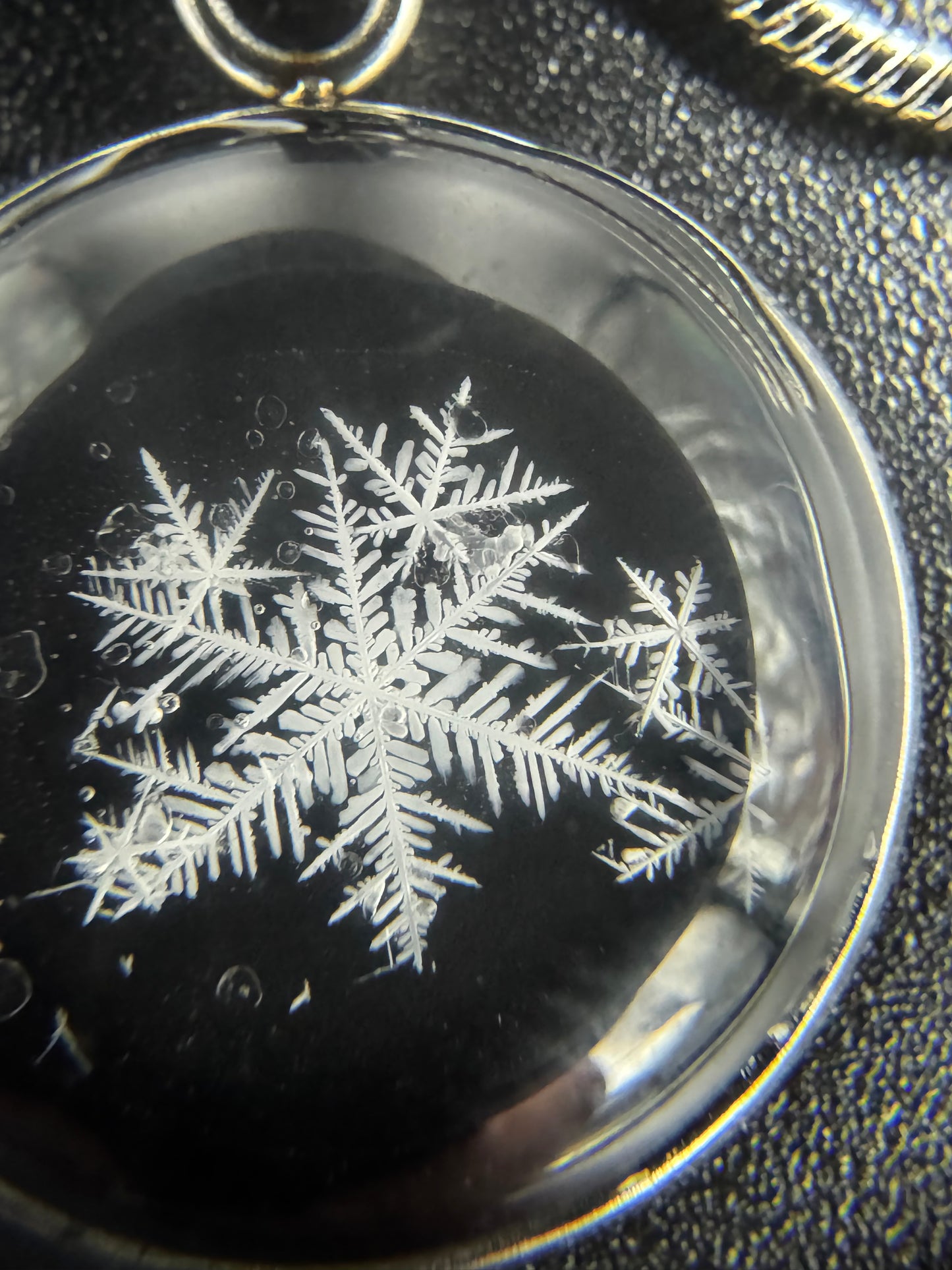 Snowflake Pendant 122625-06